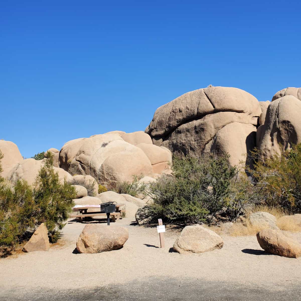 Jumbo Rocks Campground - Joshua Tree National Park | Park Ranger John