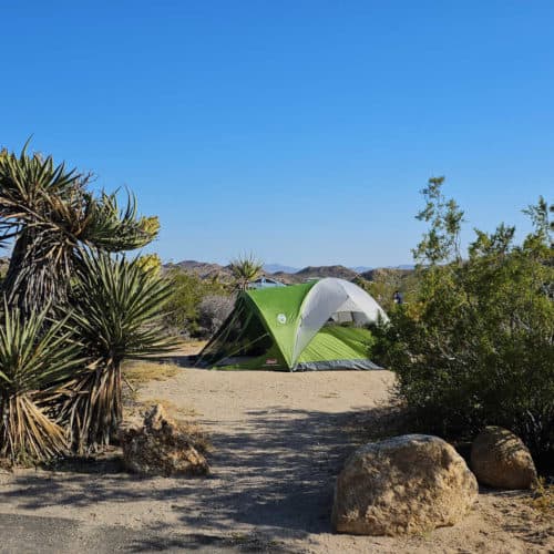 Cottonwood Campground Joshua Tree National Park