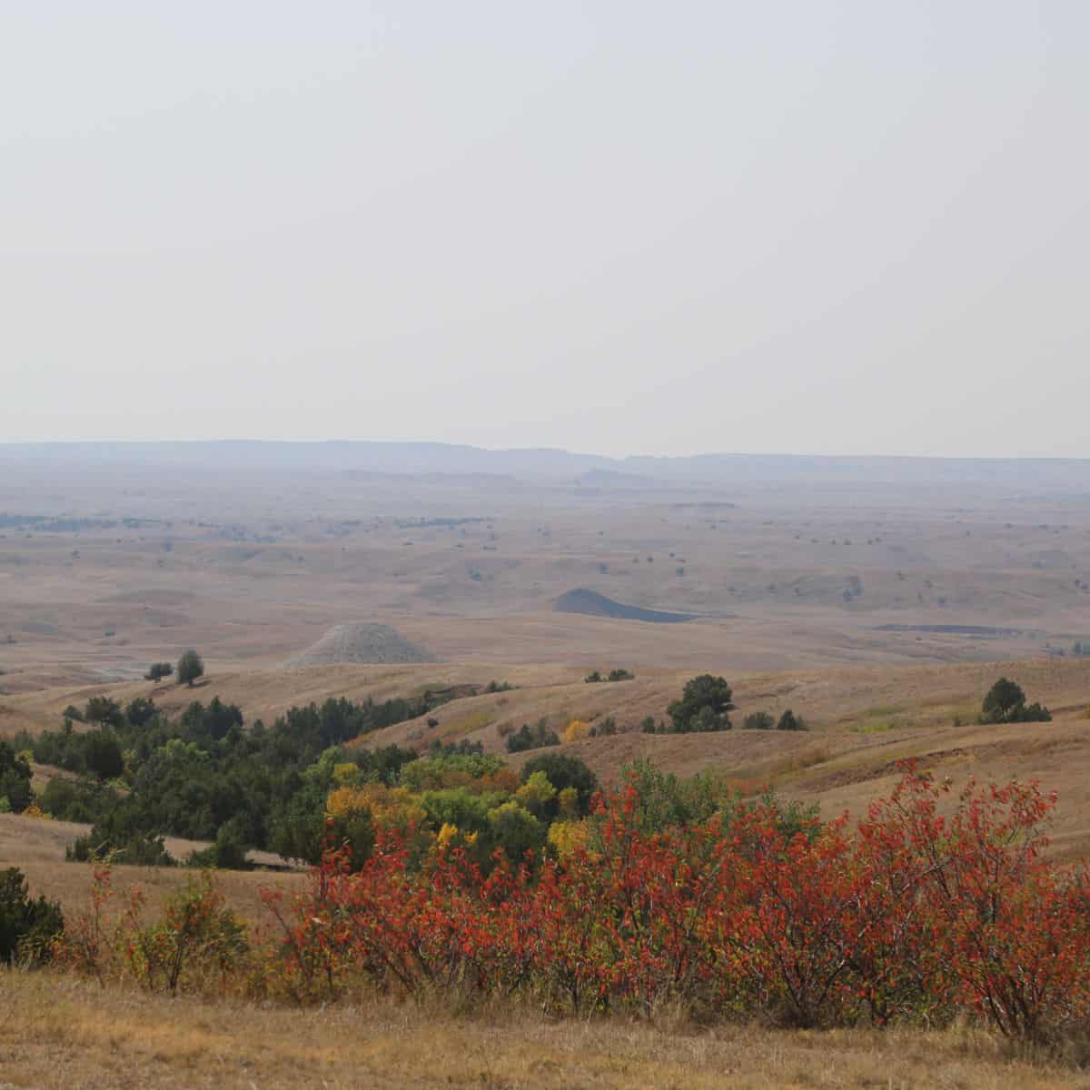 Fall colors near Sage Creek Campground in Badlands National Park