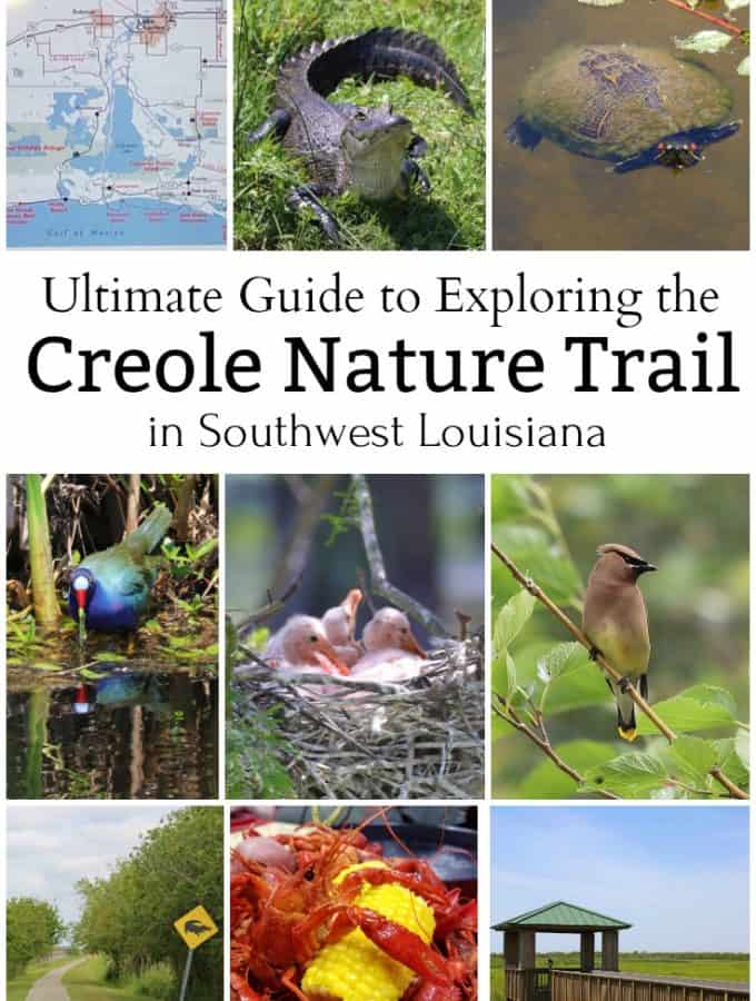 The ultimate guide to exploring the Creole Nature Trail in Southwest Louisiana #creolenaturetrail #louisiana #Louisianaoutback