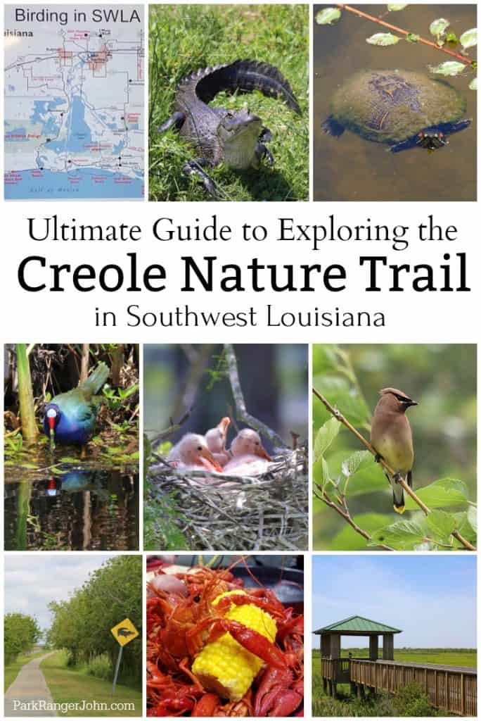 The ultimate guide to exploring the Creole Nature Trail in Southwest Louisiana #creolenaturetrail #louisiana #Louisianaoutback