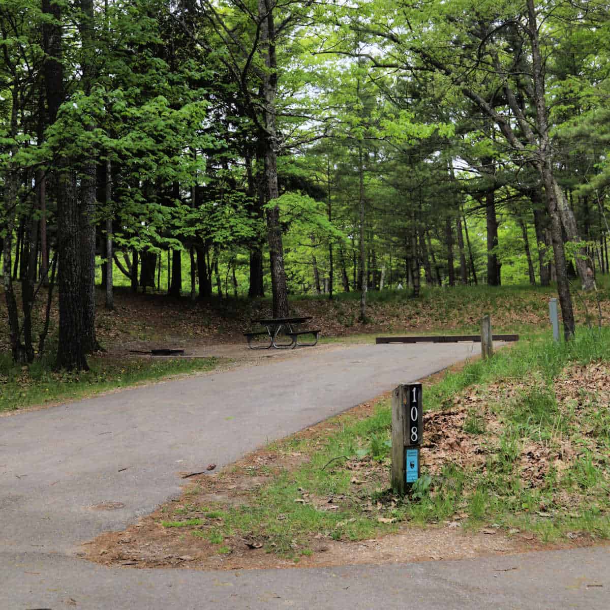 Campsite #108 Platte River Campground Sleeping Bear Dunes National Lakeshore