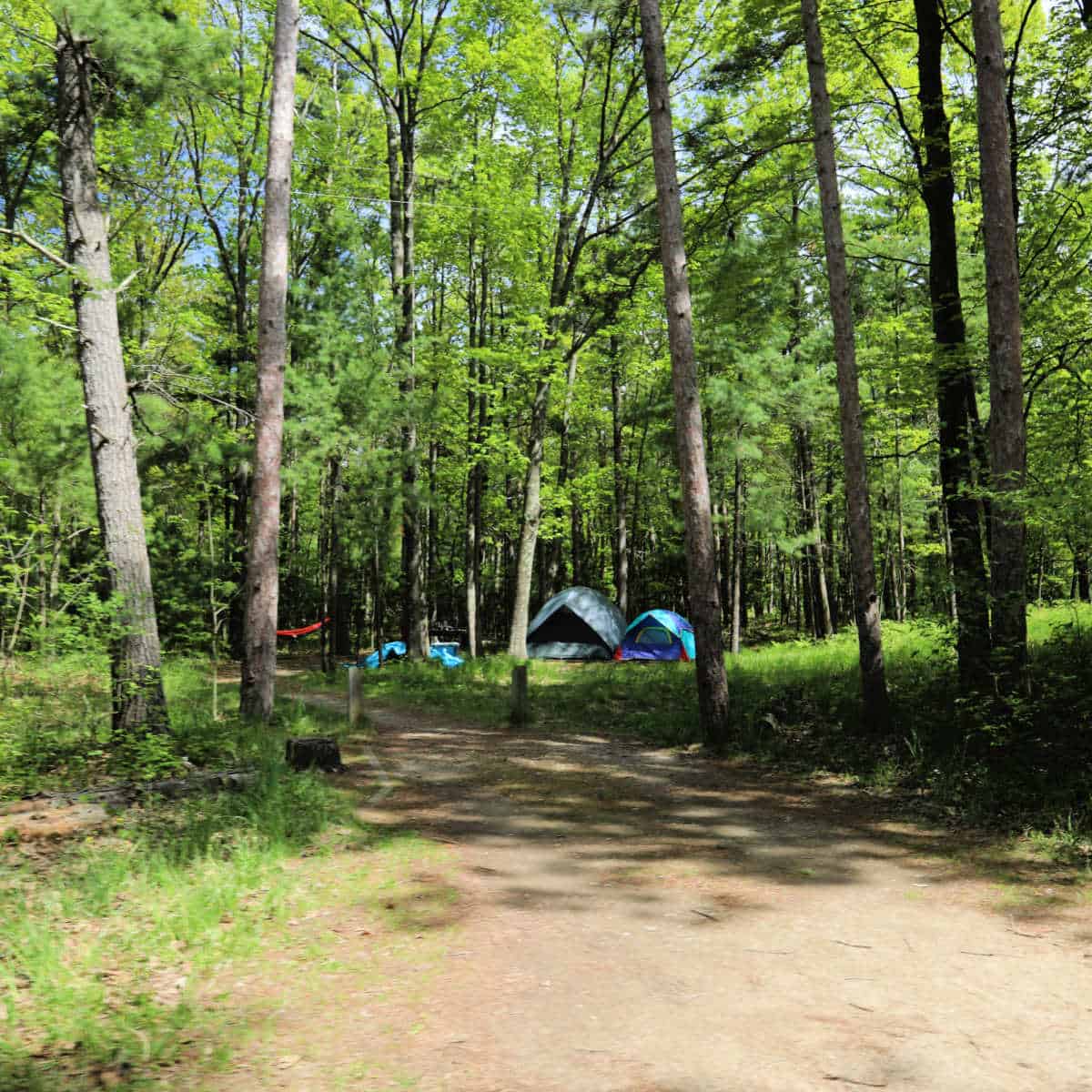 Campsite at D.H.Day Campground at Sleeping Bear Dunes National Lakeshore
