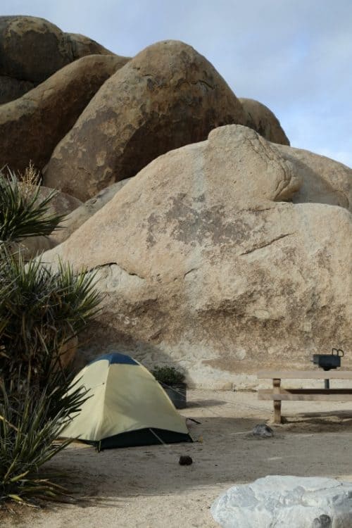 Joshua Tree's Hidden Gem: Southern California Belle Campground Unveiled