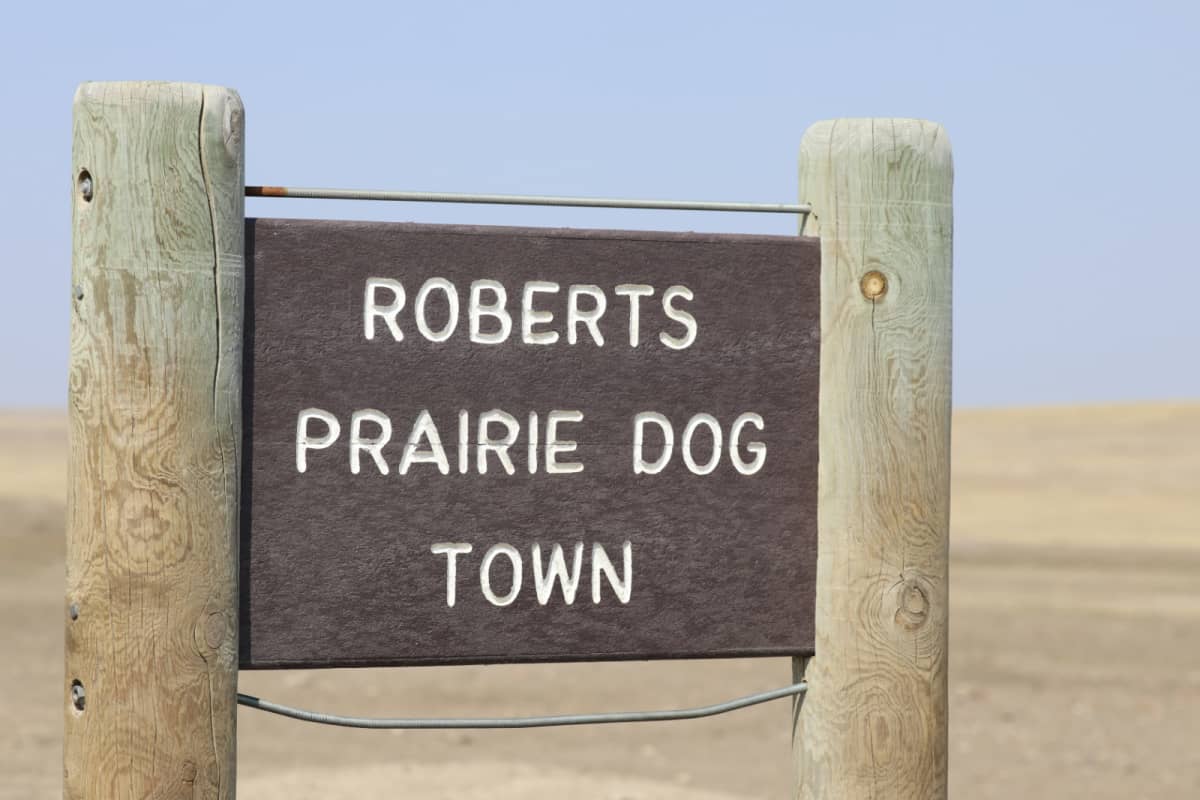 Roberts Prairie Dog Town 