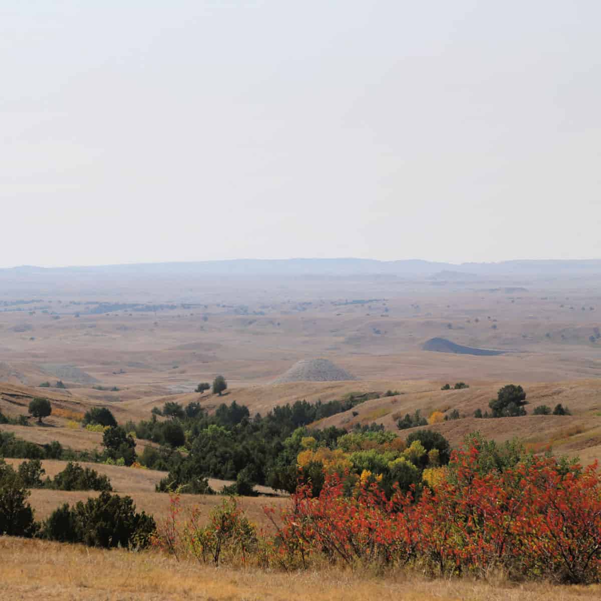 Sage Creek Basin Badlands National Park