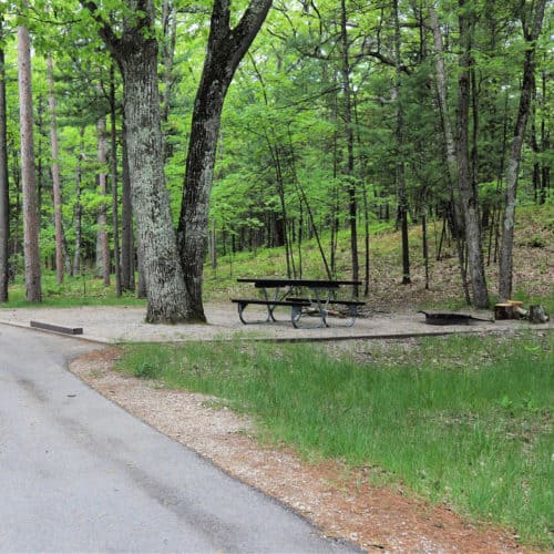 campsite in Platte River Campground in Sleeping Bear Dunes National Lakeshore