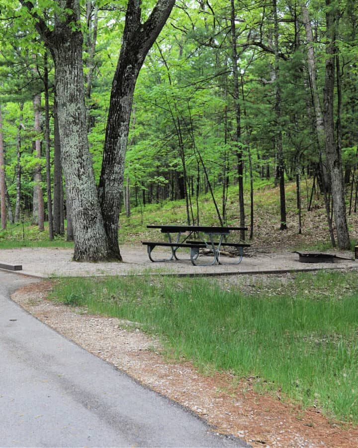 campsite in Platte River Campground in Sleeping Bear Dunes National Lakeshore