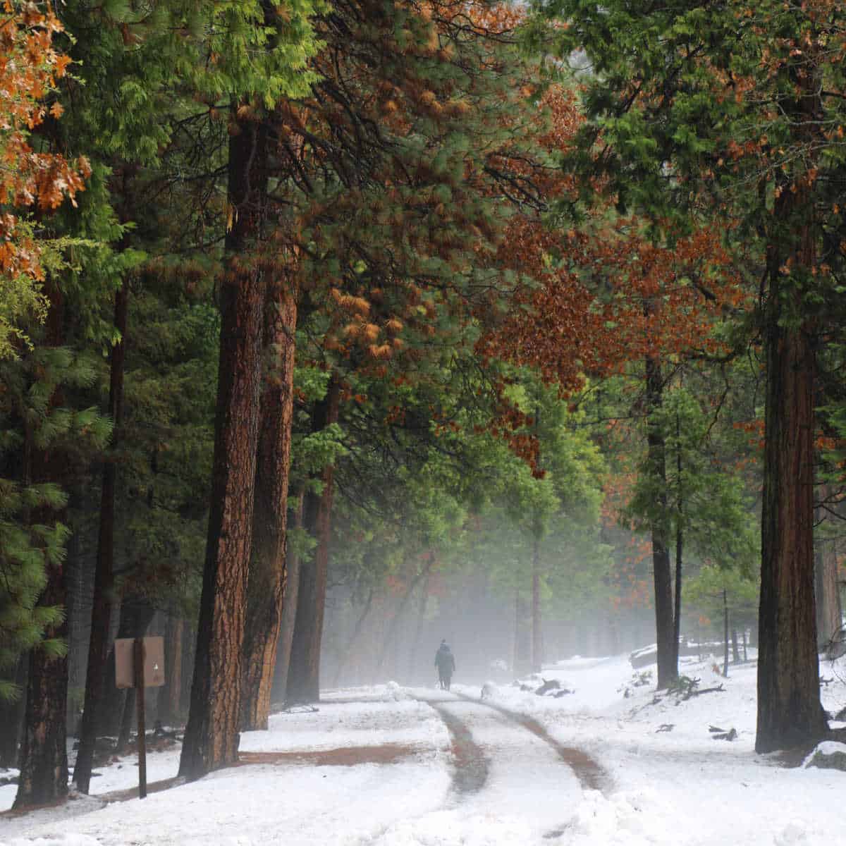 going for a snowy hike in Yosemite National Park California