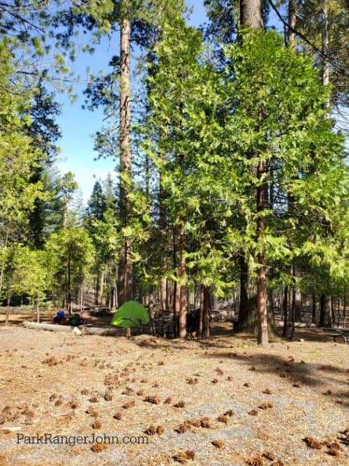 Hodgdon Meadow Campground Yosemite National park Park Ranger John