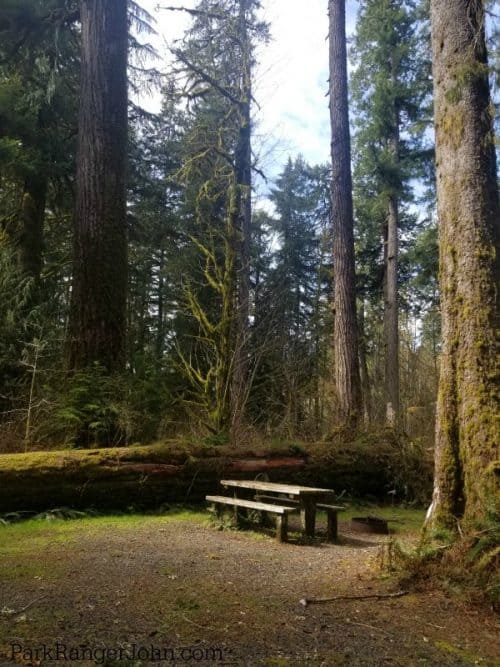 North Fork Campground Olympic National Park Park Ranger John