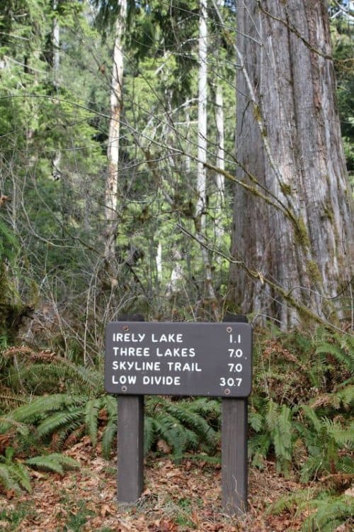 North Fork Campground Olympic National Park Park Ranger John