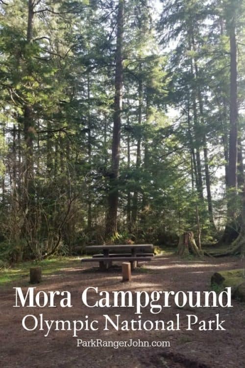 Mora Campground Olympic National Park Park Ranger John