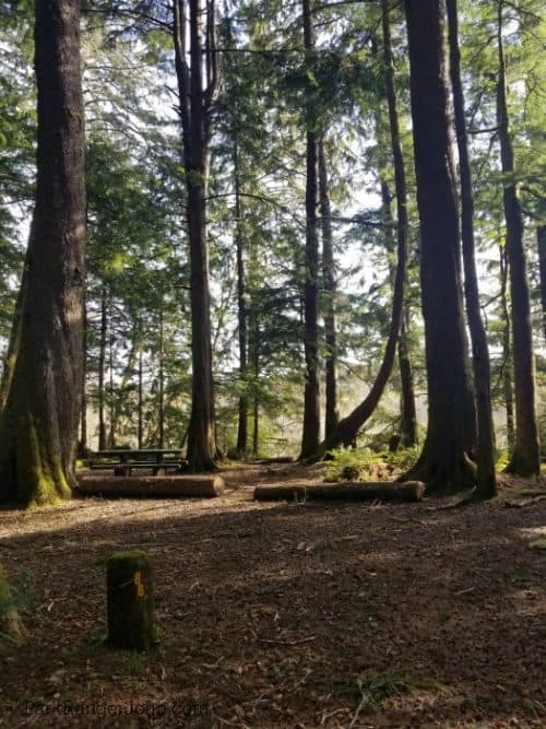 Mora Campground Olympic National Park Park Ranger John