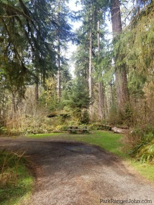 North Fork Campground Olympic National Park Park Ranger John