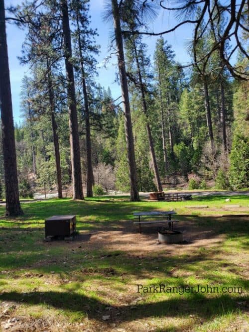 Wawona Campground Yosemite National Park Park Ranger John