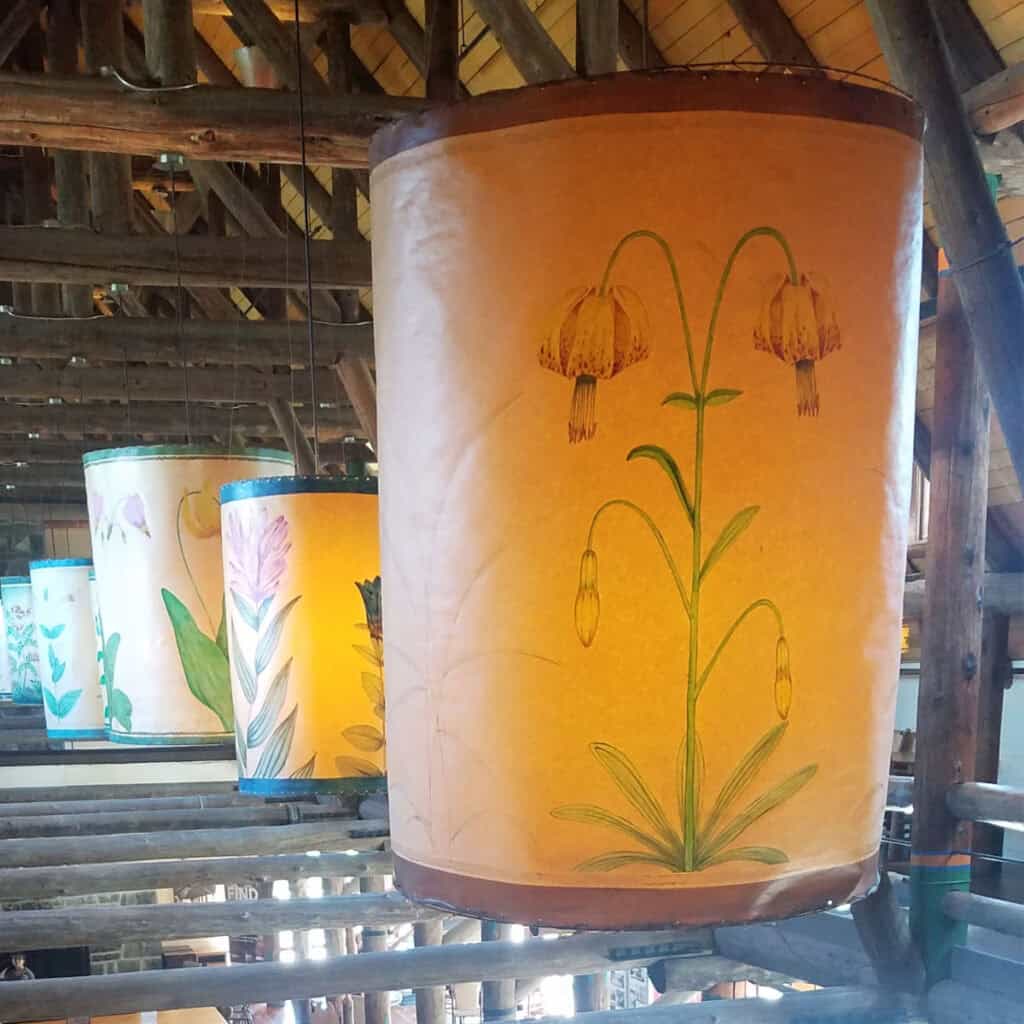 Wildflower Lamps at Paradise Inn