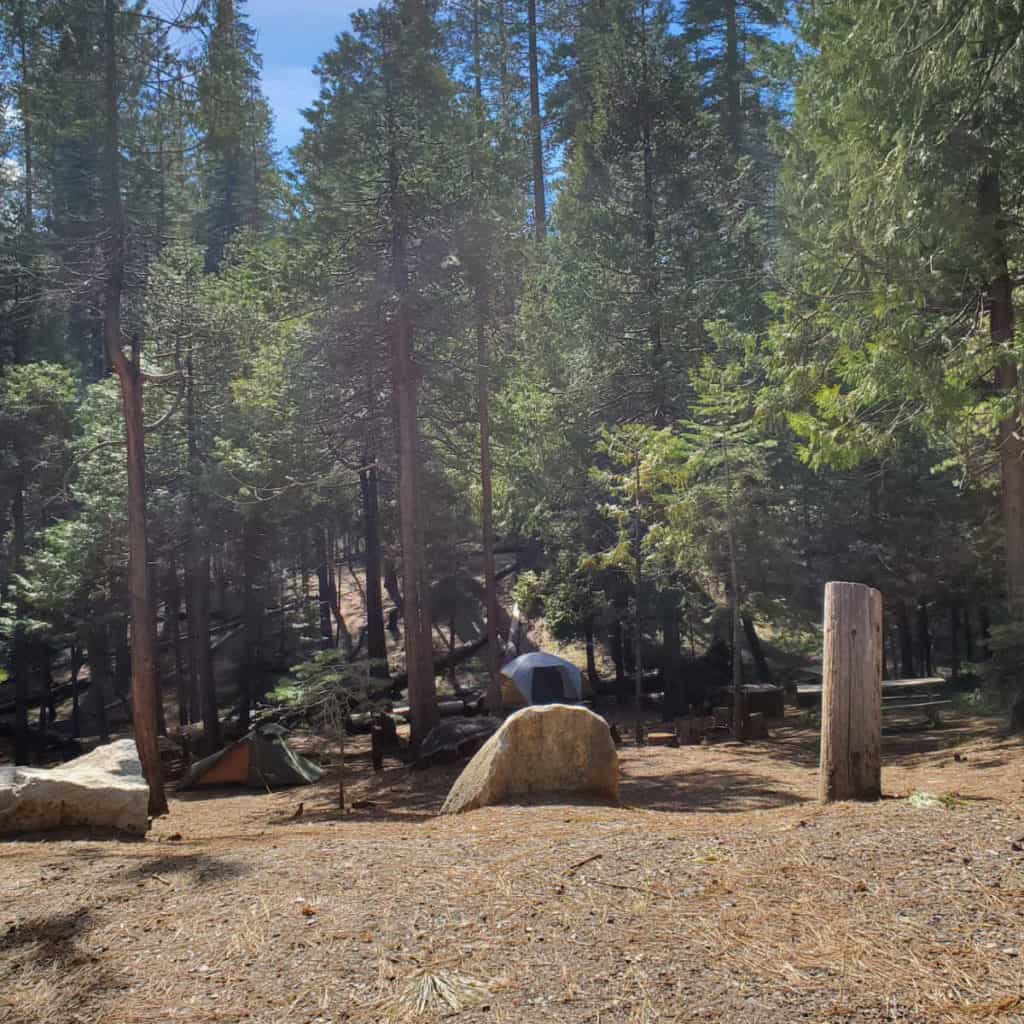 campsite in Hogdon Meadows Campground Yosemite National Park