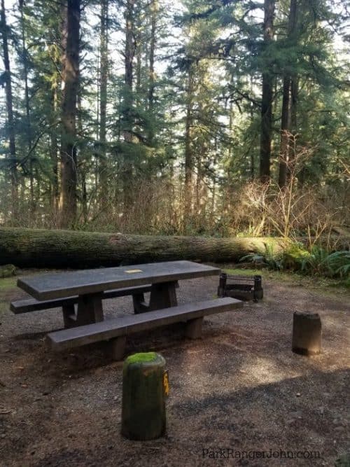 Mora Campground Olympic National Park Park Ranger John