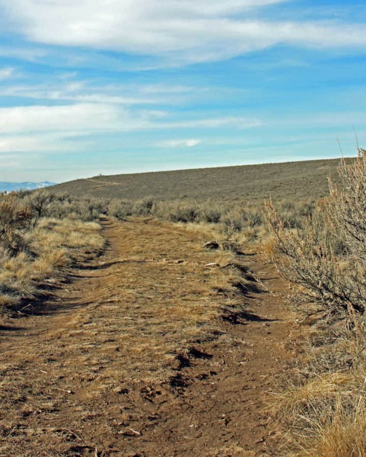 wagon ruts still visible today from the Oregon Trail