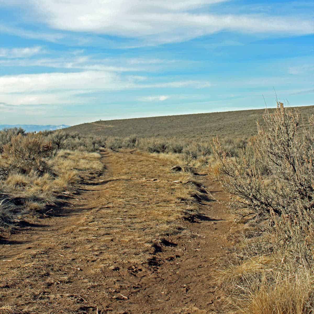 wagon ruts still visible today from the Oregon Trail