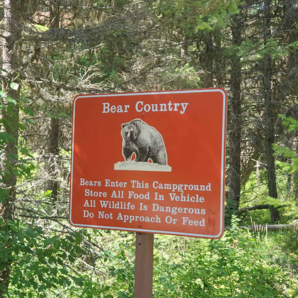 Bear Country Sign at Quartz Creek Campground