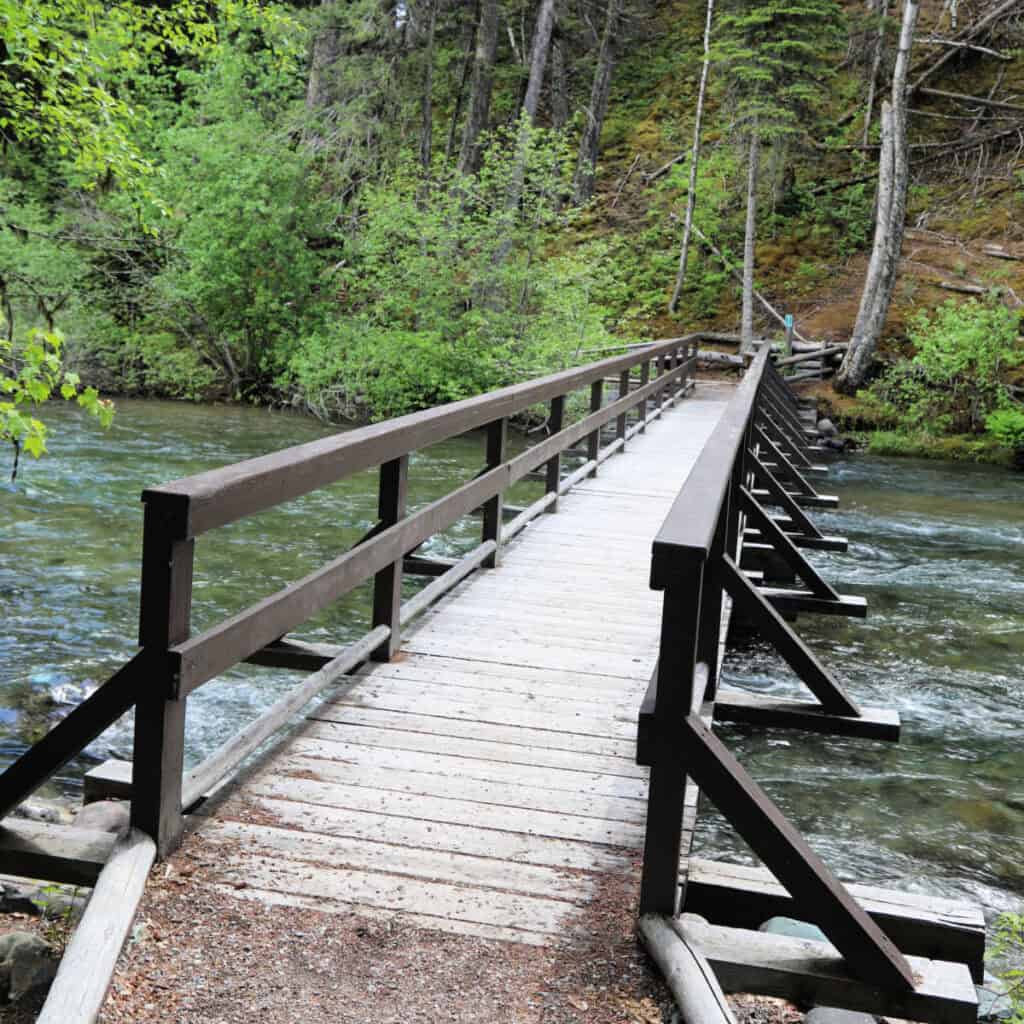 Bridge over Kintla Creek