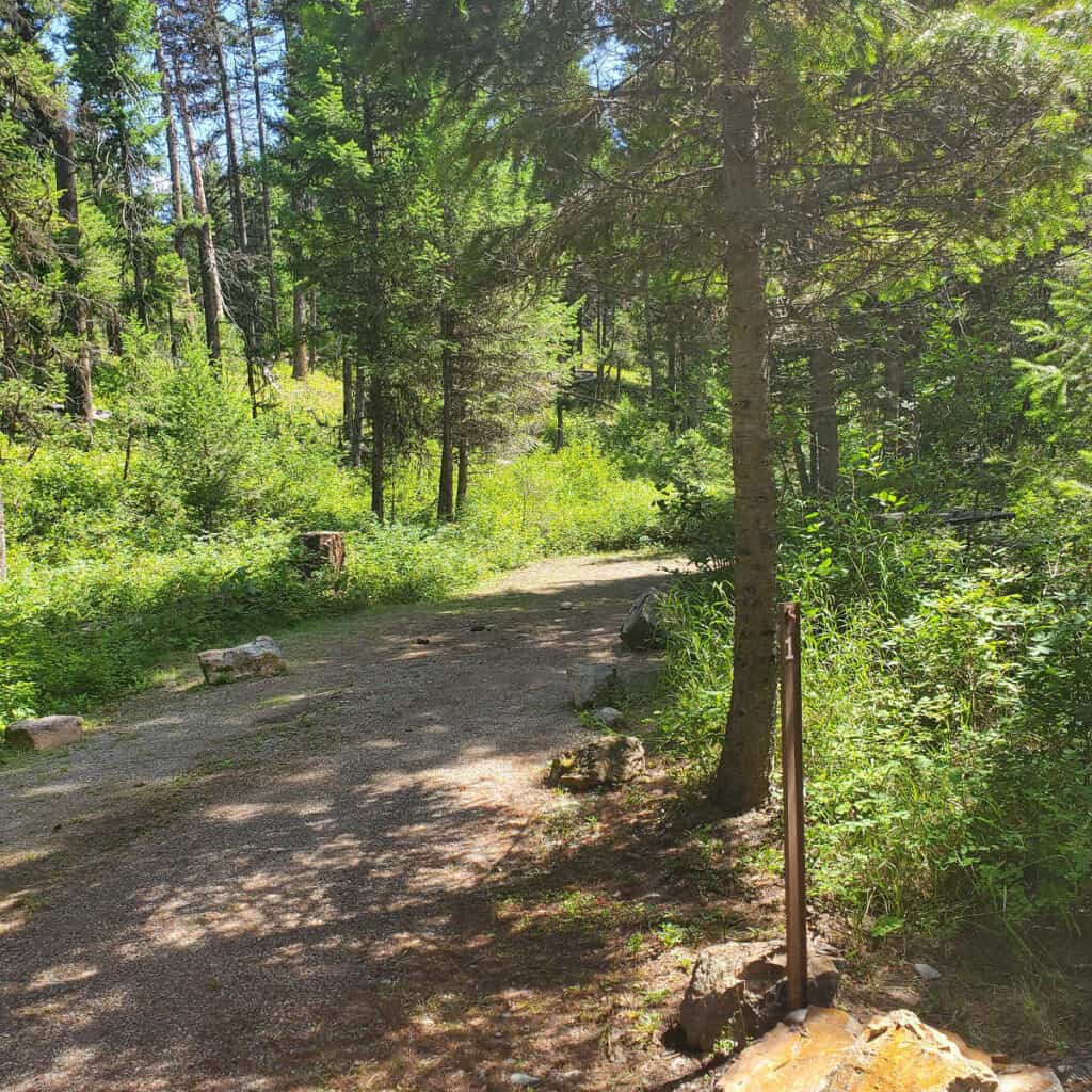 Campsite 1 Quartz Creek Campground Glacier National Park