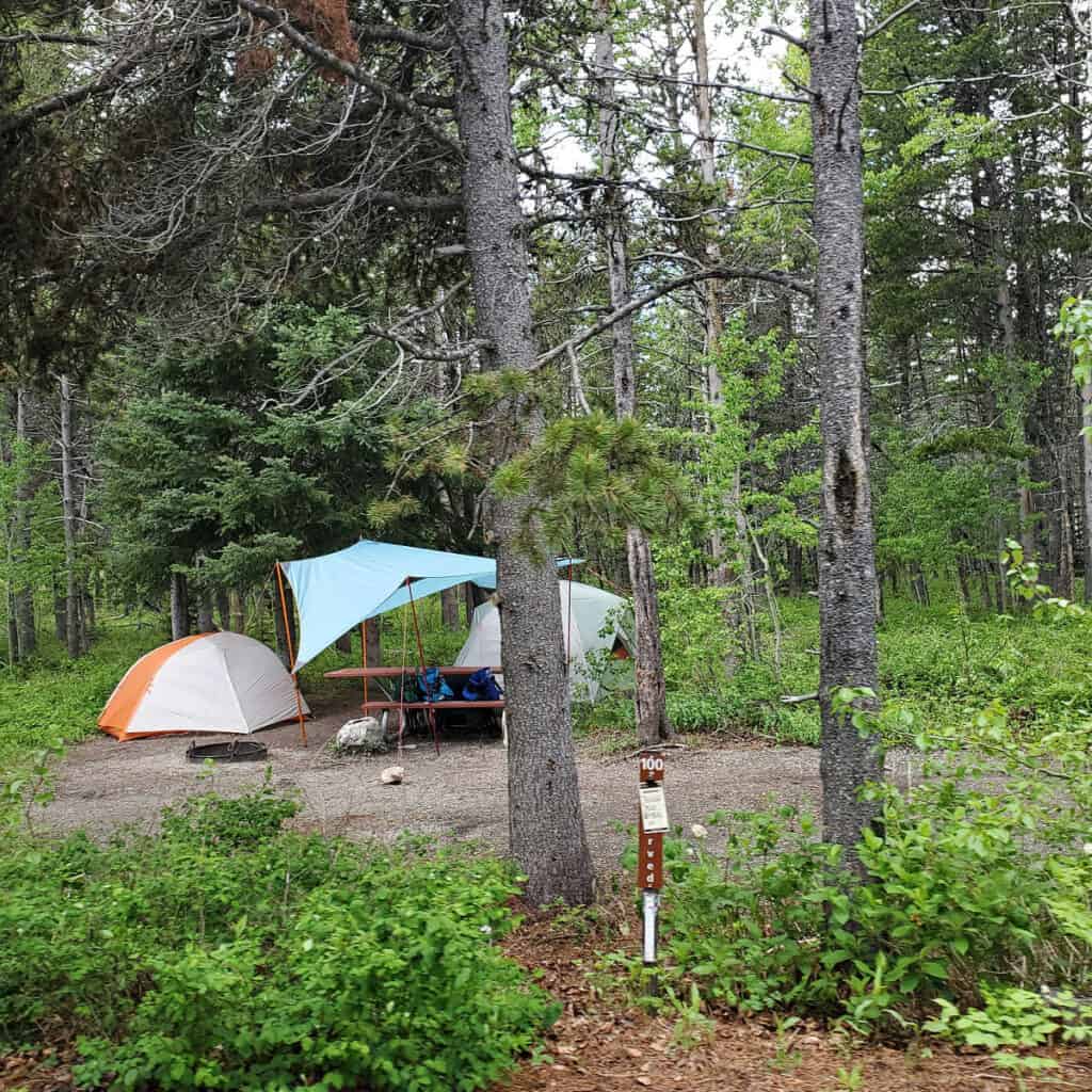 Campsite 100 Many Glacier Campground Glacier National Park