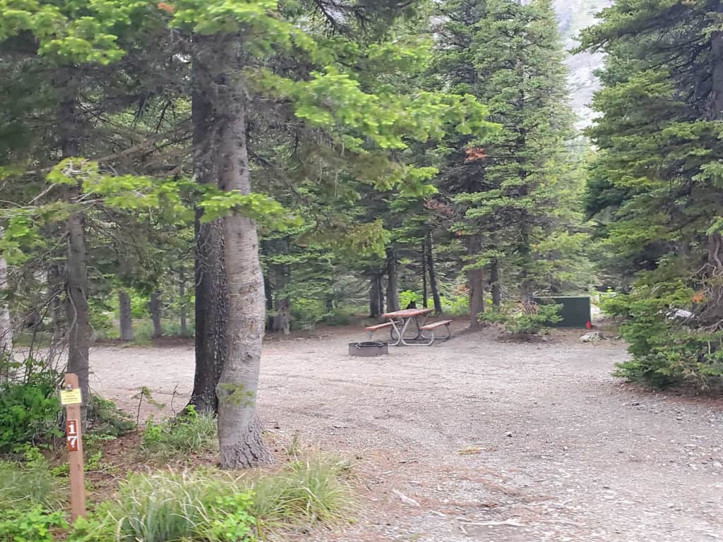 Campsite 17 Two Medicine Campground Glacier National Park