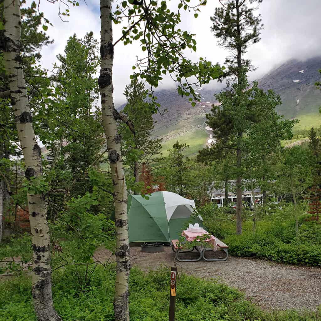 Campsite 19 Many Glacier Campground Glacier National Park