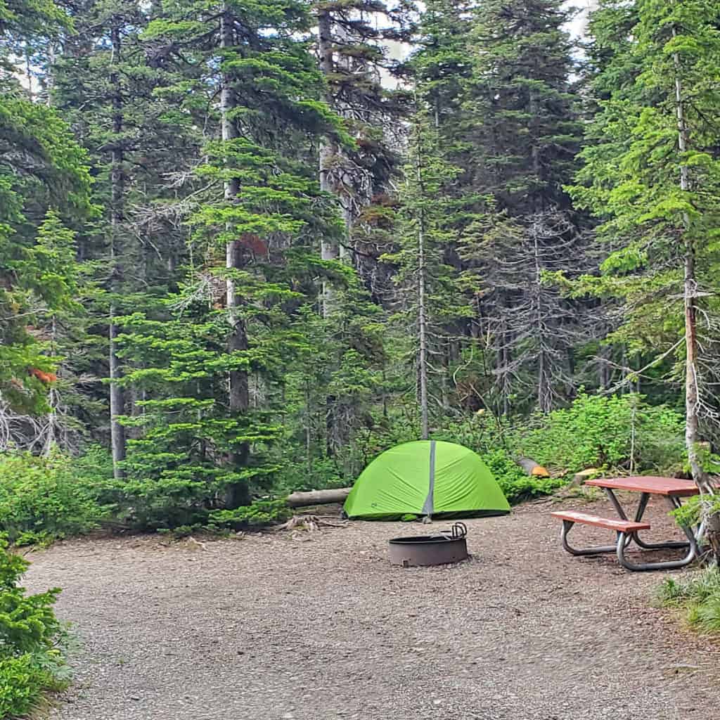Campsite 29 Two Medicine Campground Glacier National Park
