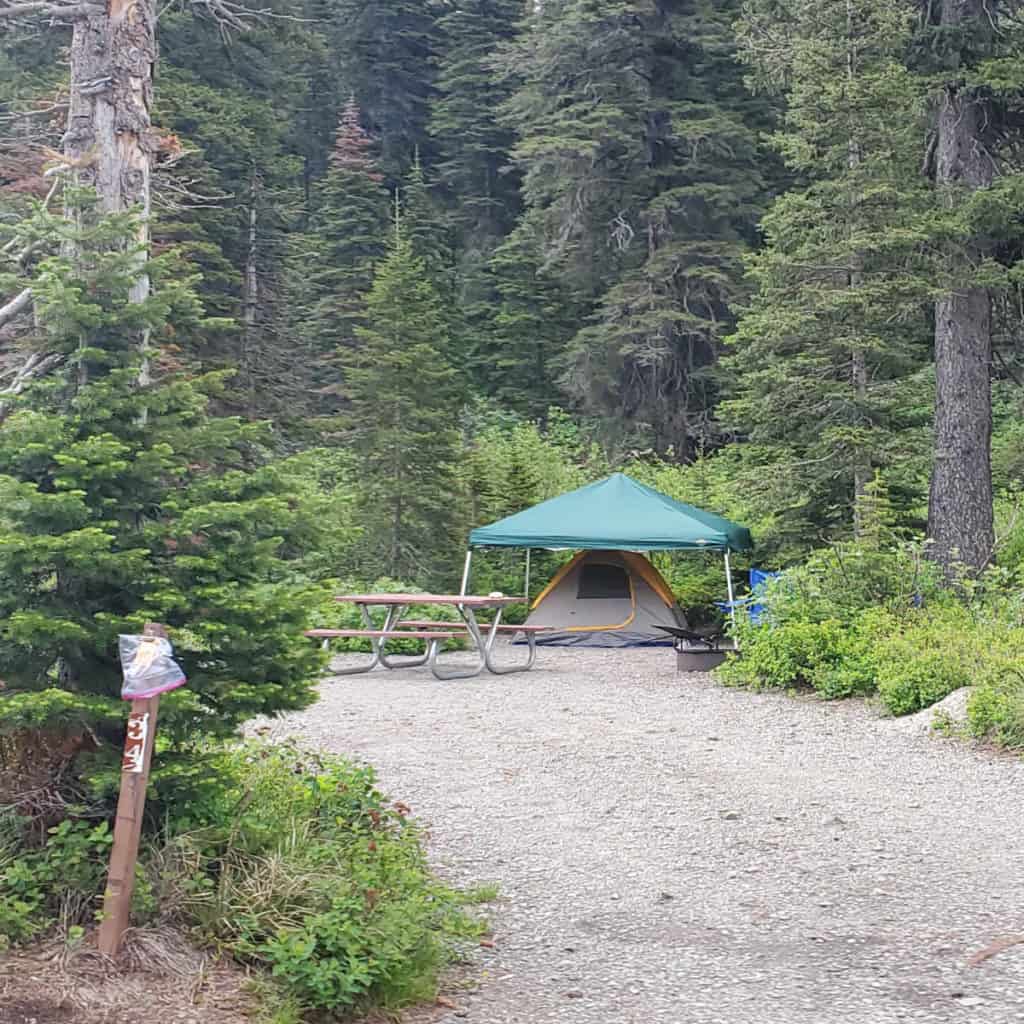 Campsite 34 Two Medicine Campground Glacier National Park