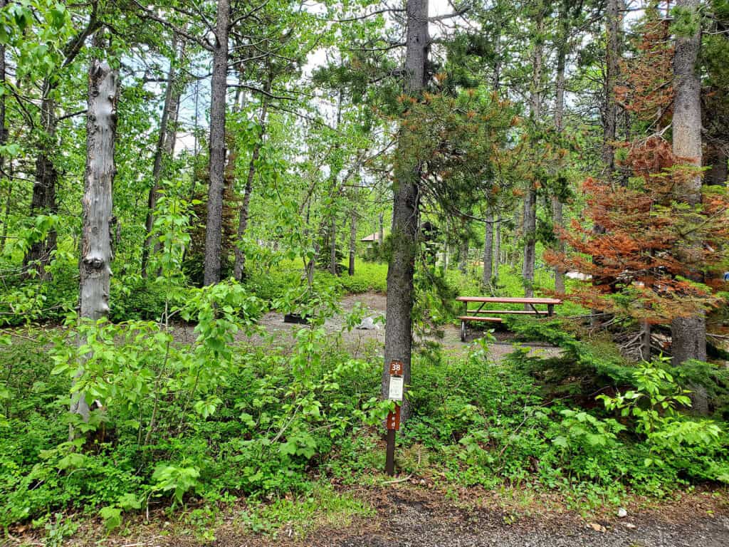 Campsite 38 Many Glacier Campground Glacier National Park