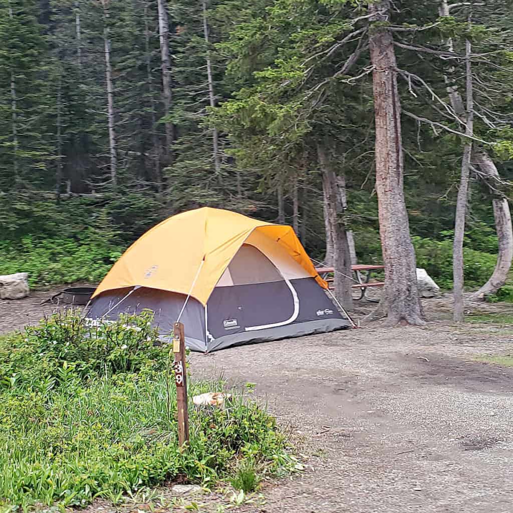Campsite 39 Two Medicine Campground Glacier National Park