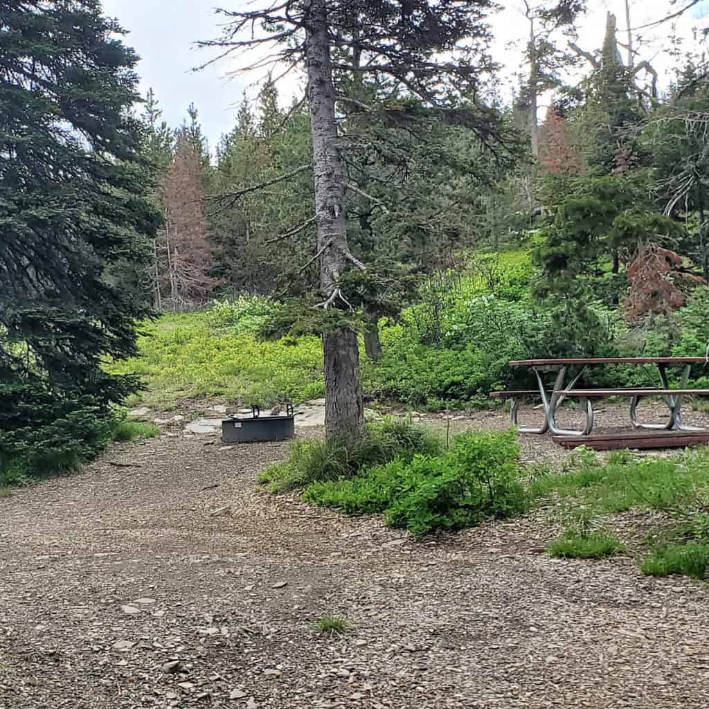 Campsite 41 Two Medicine Campground Glacier National Park