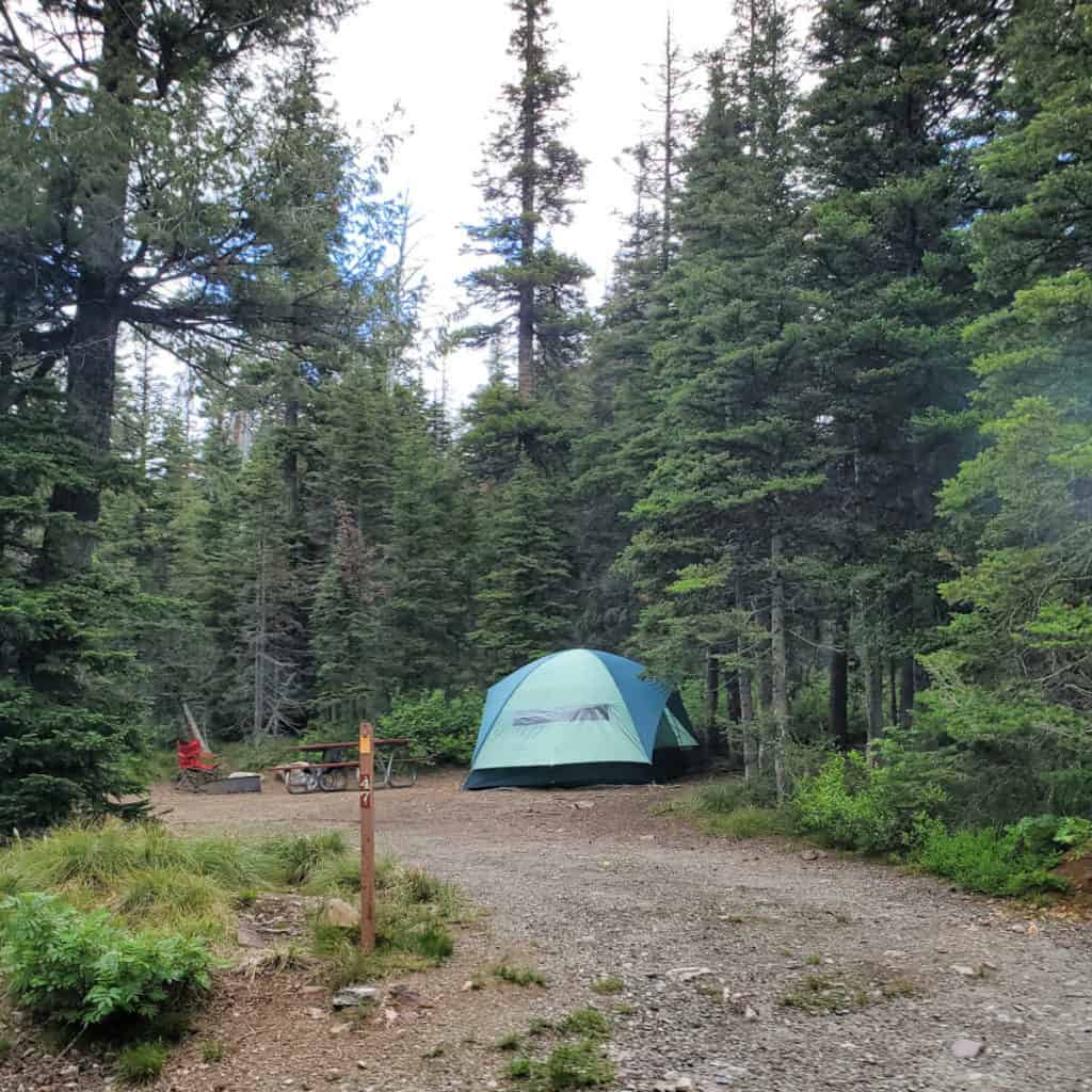 Campsite 47 Two Medicine Campground Glacier National Park
