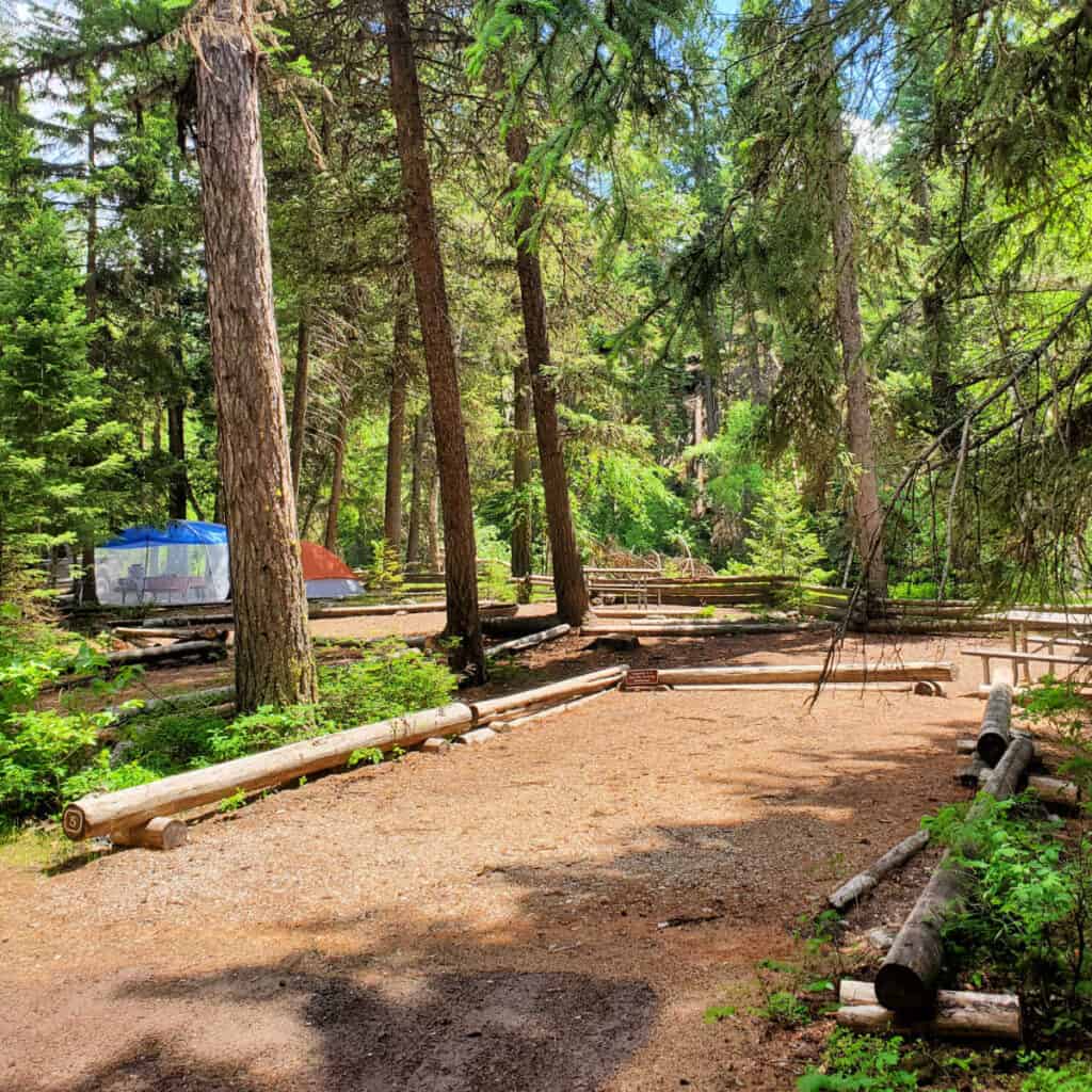 Campsite 5 Kintla Lake Campground Glacier National Park