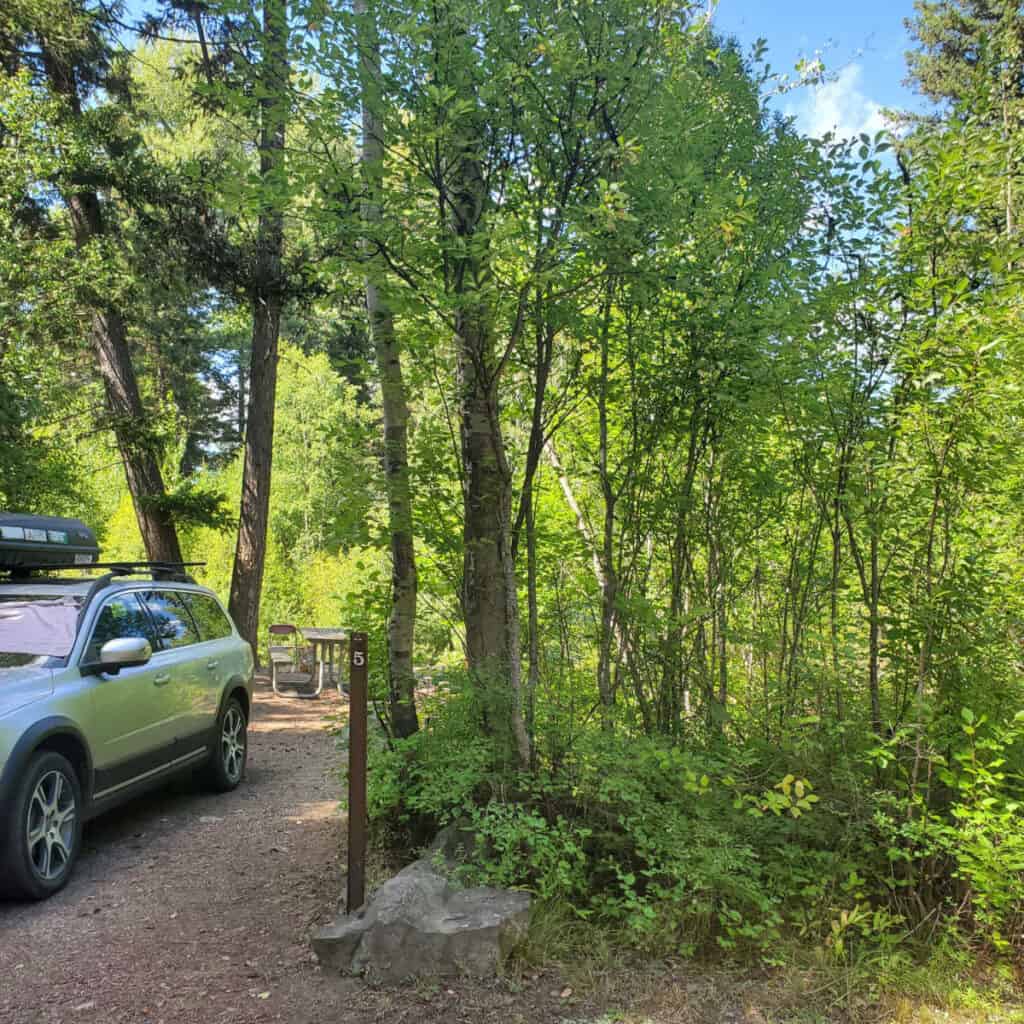 Campsite 5 Quartz Creek Campground Glacier National Park