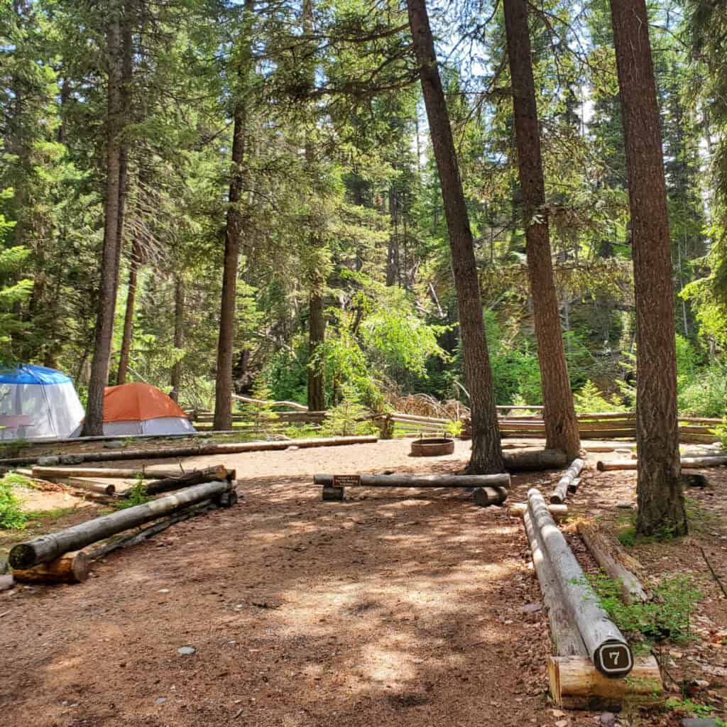 Campsite 7 Kintla Lake Campground Glacier National Park