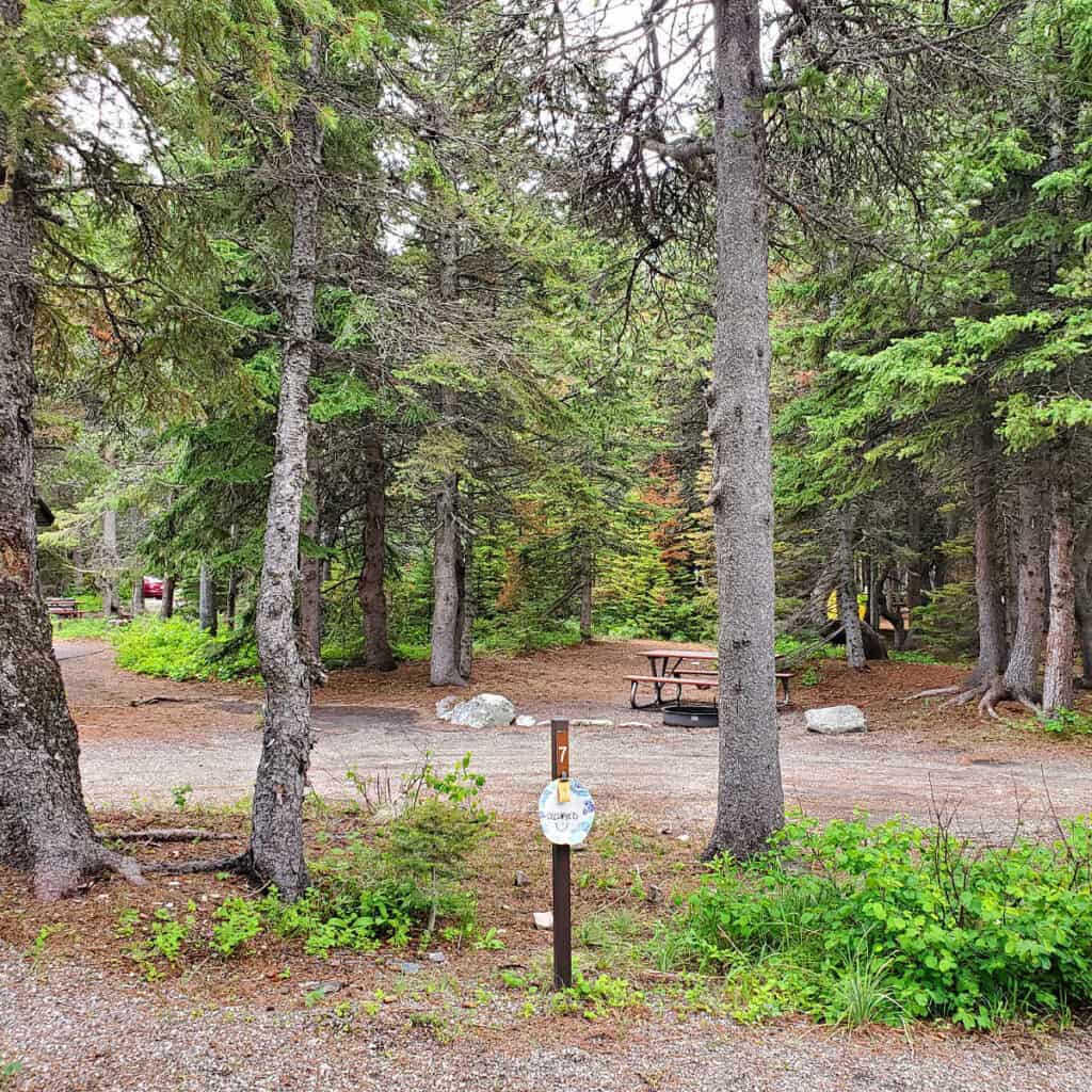 Campsite 7 Many Glacier Campground Glacier National Park