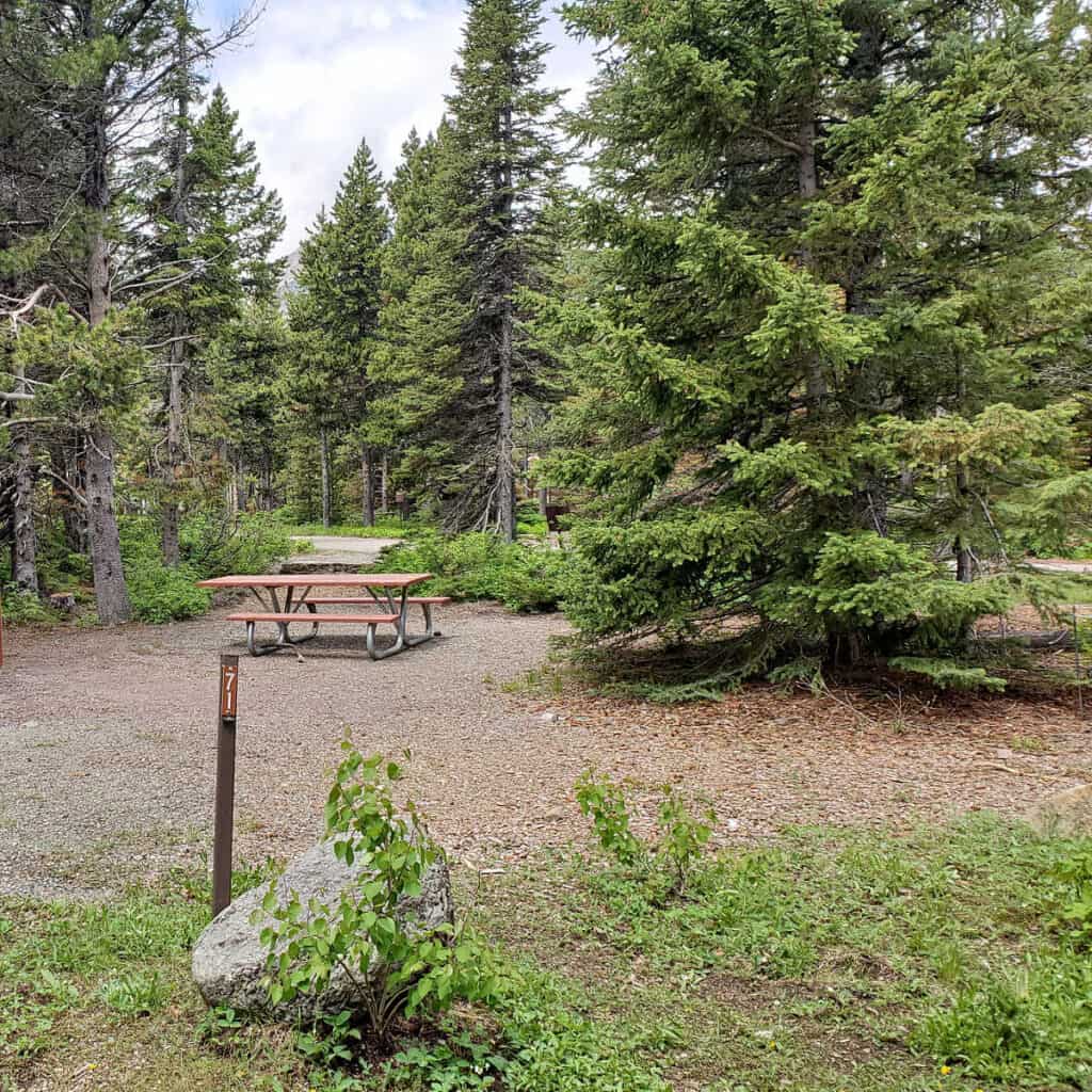 Campsite 71 Many Glacier Campground Glacier National Park