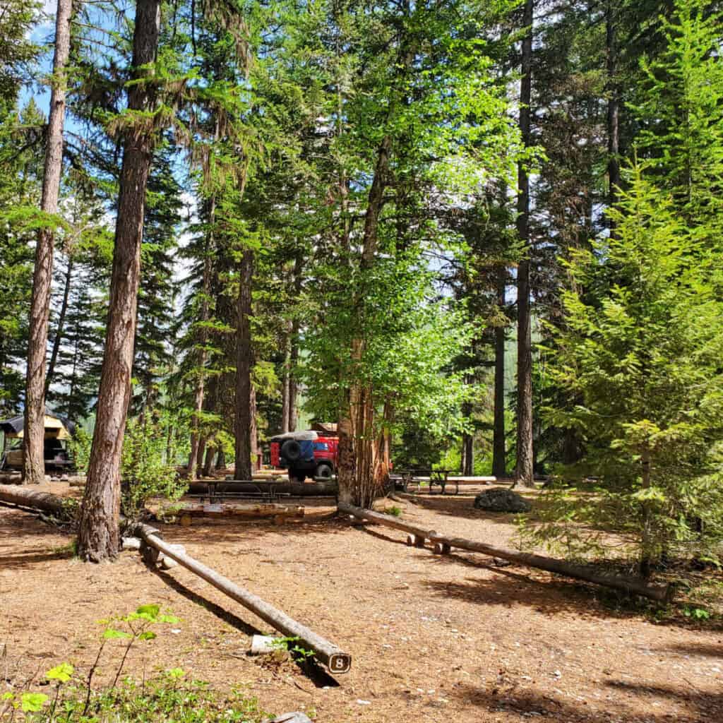 Campsite 8 Kintla Lake Campground Glacier National Park