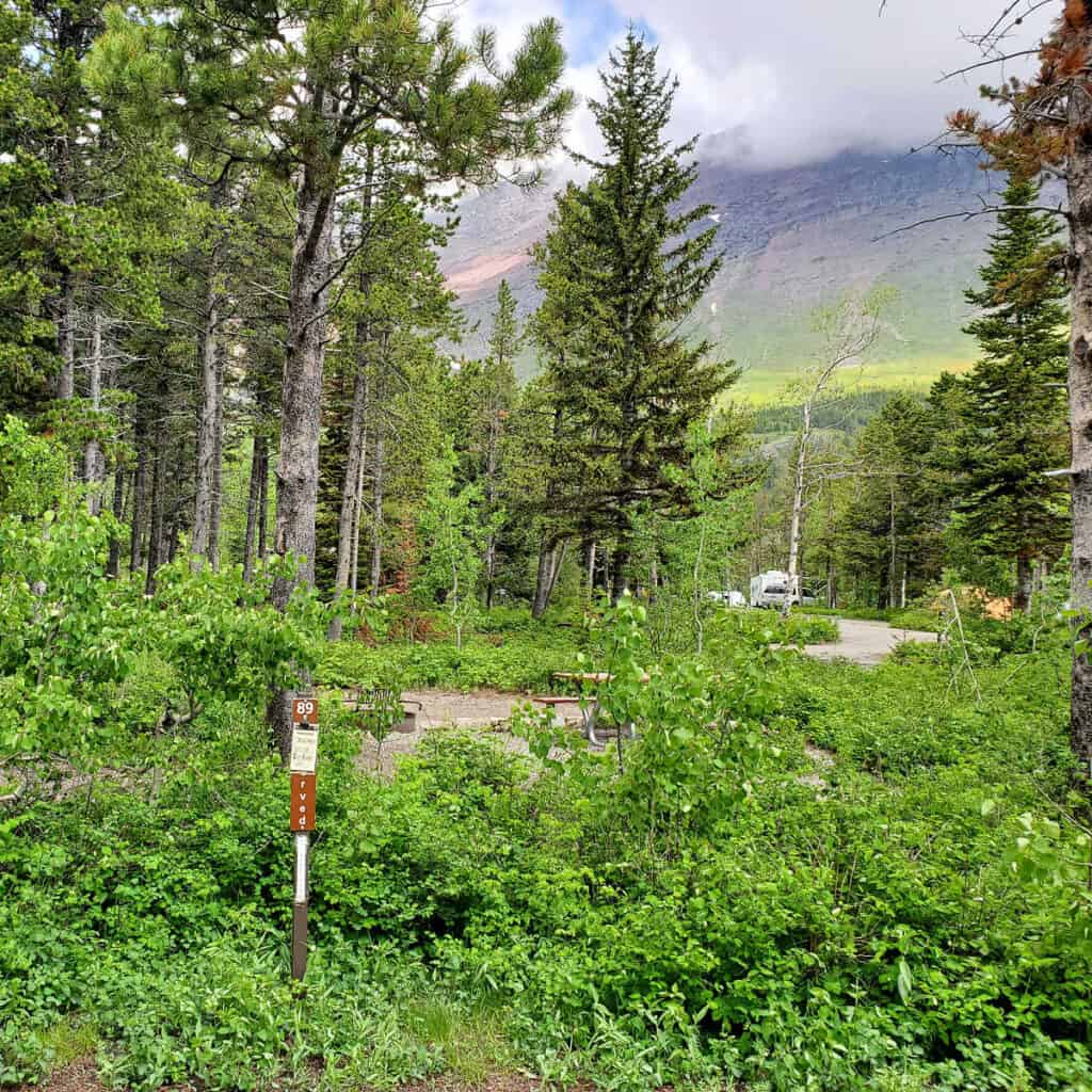 Campsite 89 Many Glacier Campground Glacier National Park