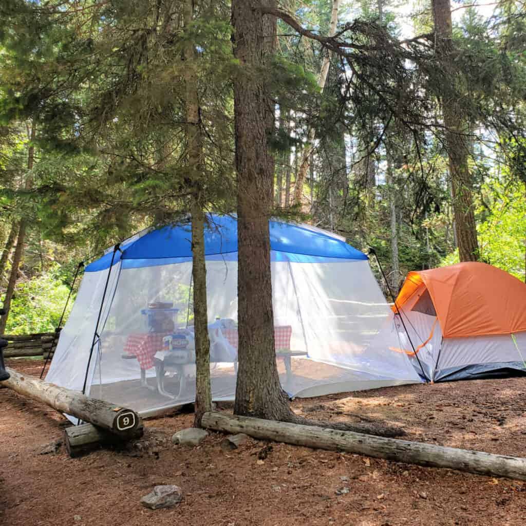 Campsite 9 Kintla Lake Campground Glacier National Park