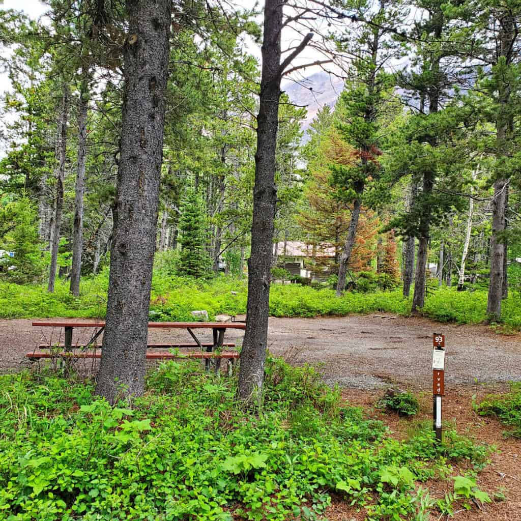 Campsite 93 Many Glacier Campground Glacier National Park