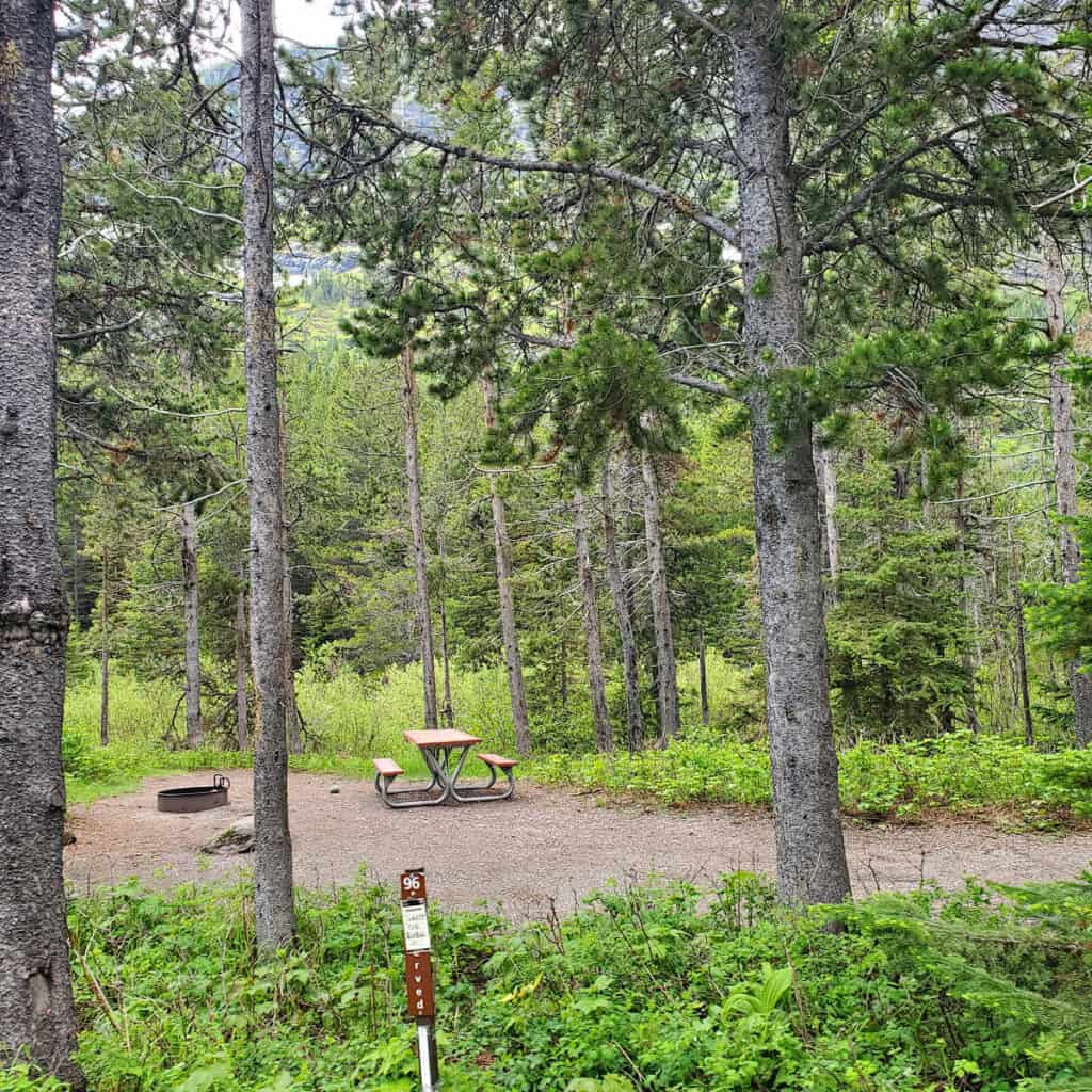 Campsite 96 Many Glacier Campground Glacier National Park