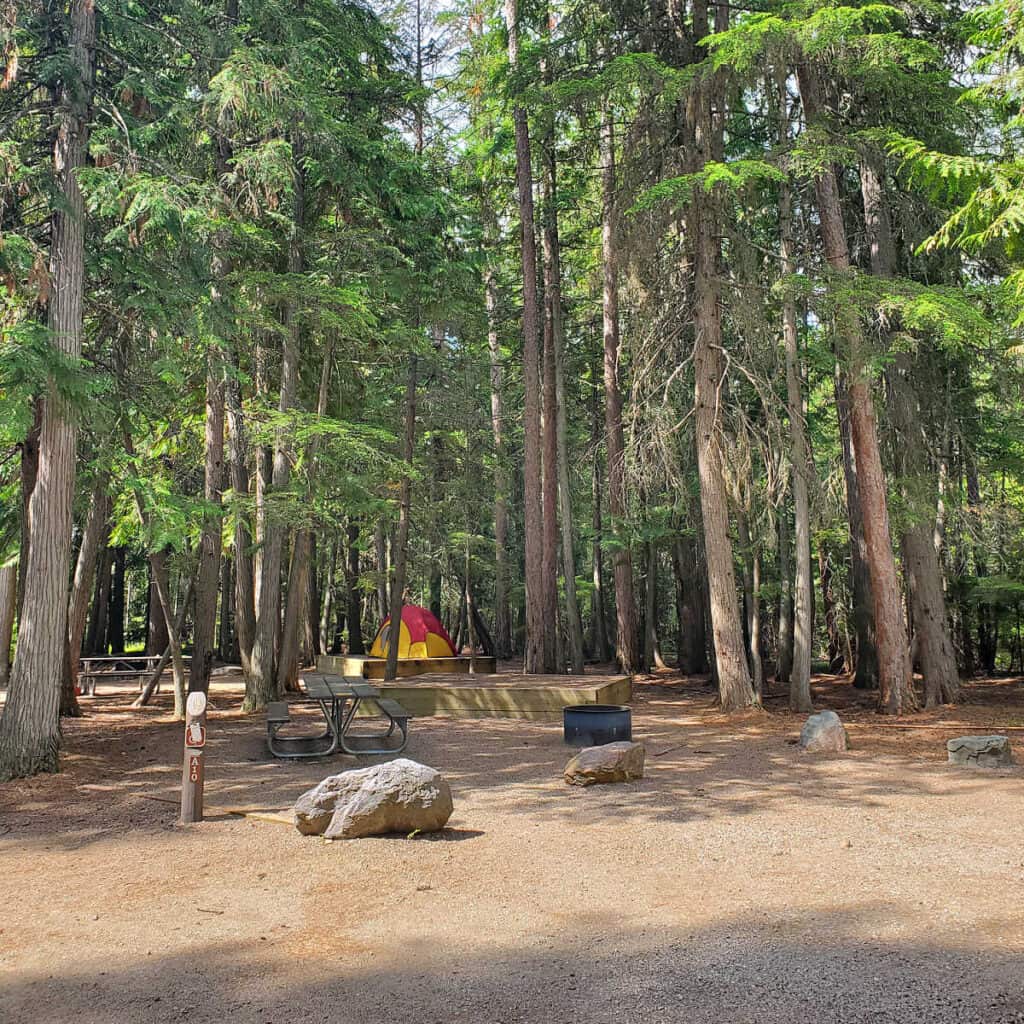 Campsite A10 Fish Creek Campground Glacier National Park