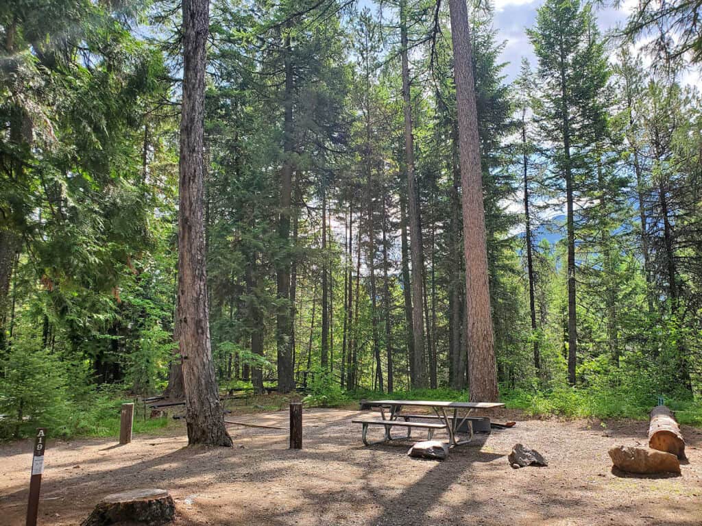 Campsite A19 Fish Creek Campground Glacier National Park