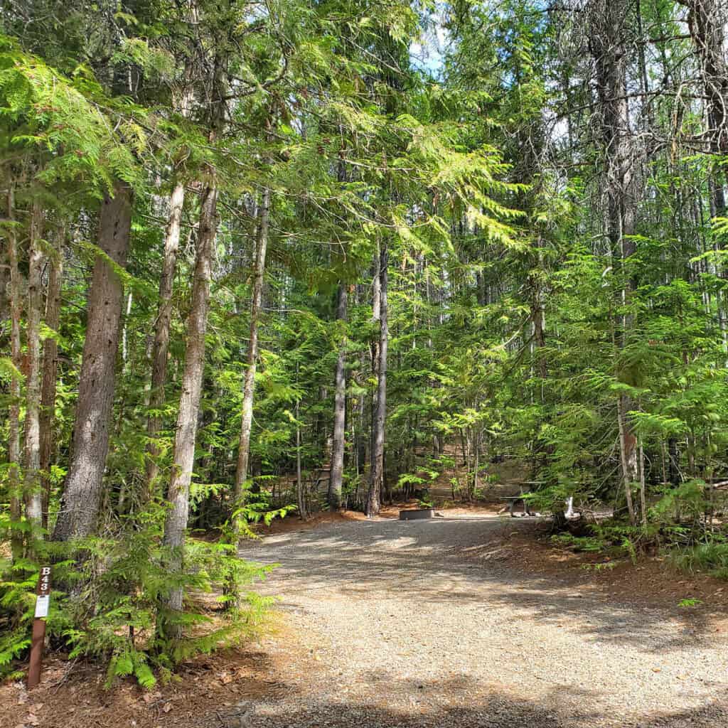 Campsite B43 Fish Creek Campground Glacier National Park